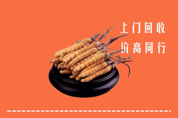 高价求购：浠水县回收散虫草