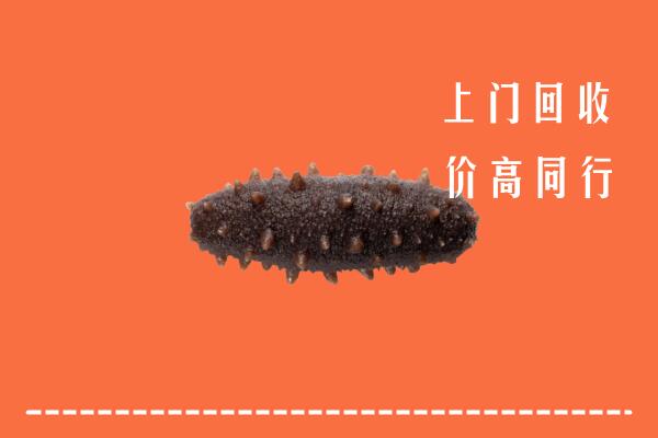 高价求购：浠水县回收海参