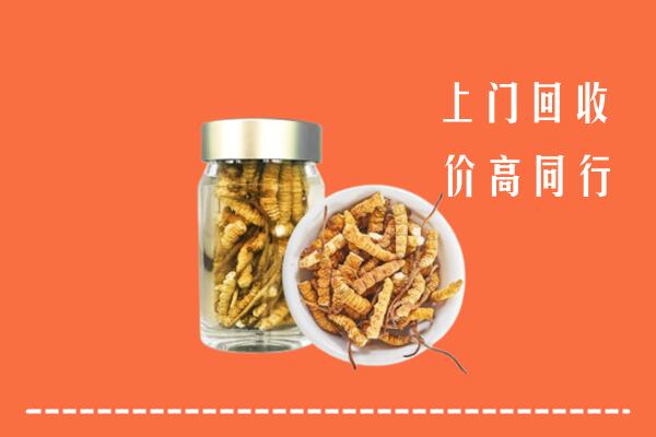 浠水县回收冬虫夏草